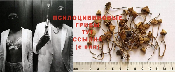мяу мяу мука Баксан