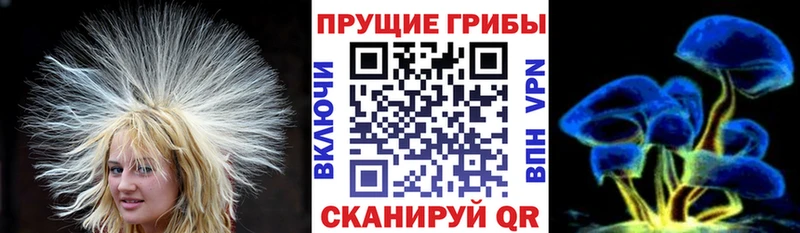 Галлюциногенные грибы Magic Shrooms  где можно купить наркотик  Красавино 
